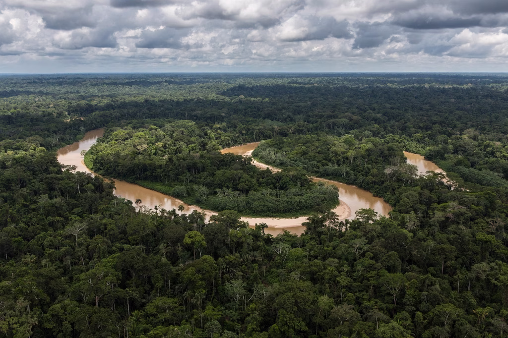 Amazon rainforest is often called